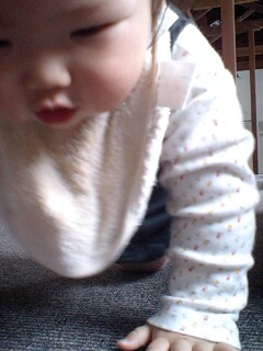 091116_1224~0002.jpg